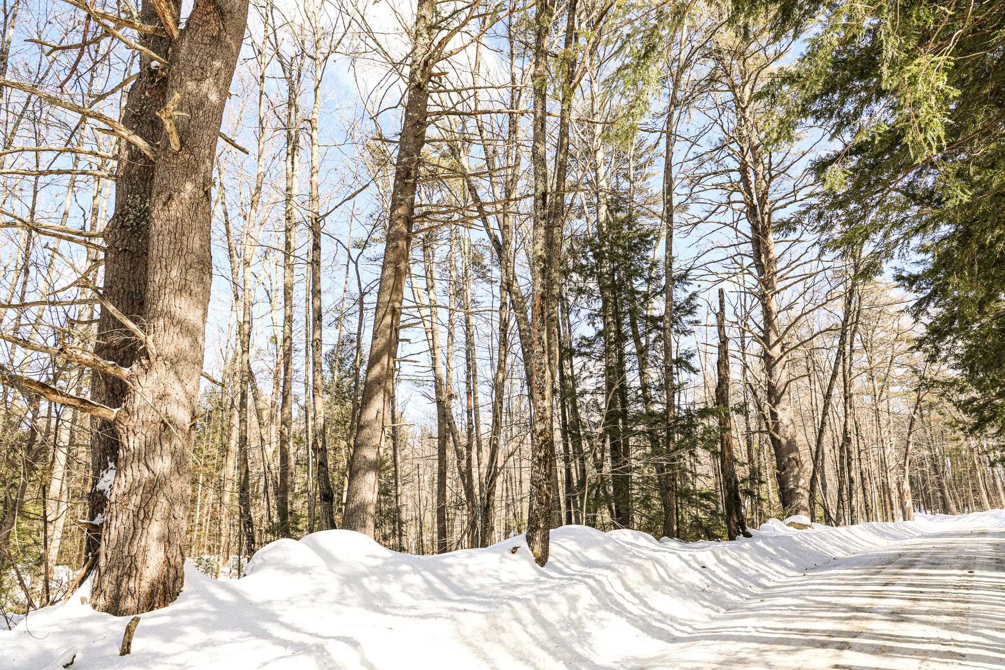 20 Elijah Beede Road Sandwich, NH 03227 - Photo 12 of 12