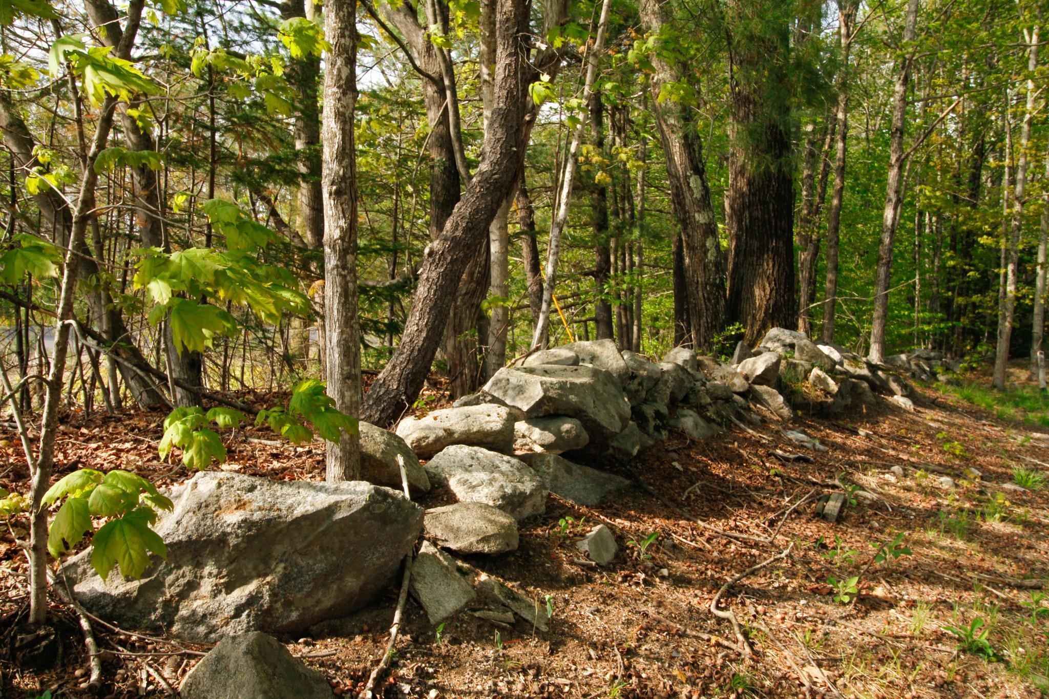 20 Elijah Beede Road Sandwich, NH 03227 - Photo 3 of 12