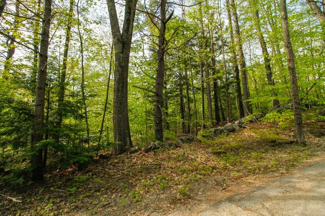 $20,000 | 20 Elijah Beede Road, Sandwich, NH 03227