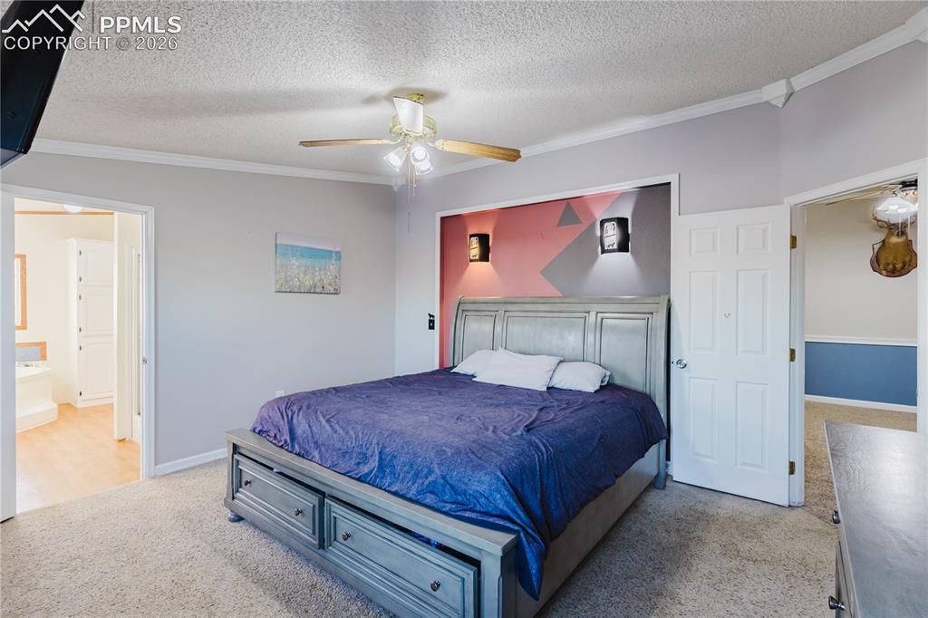 25220 Myers Road Colorado Springs, CO 80928 - Photo 9 of 22