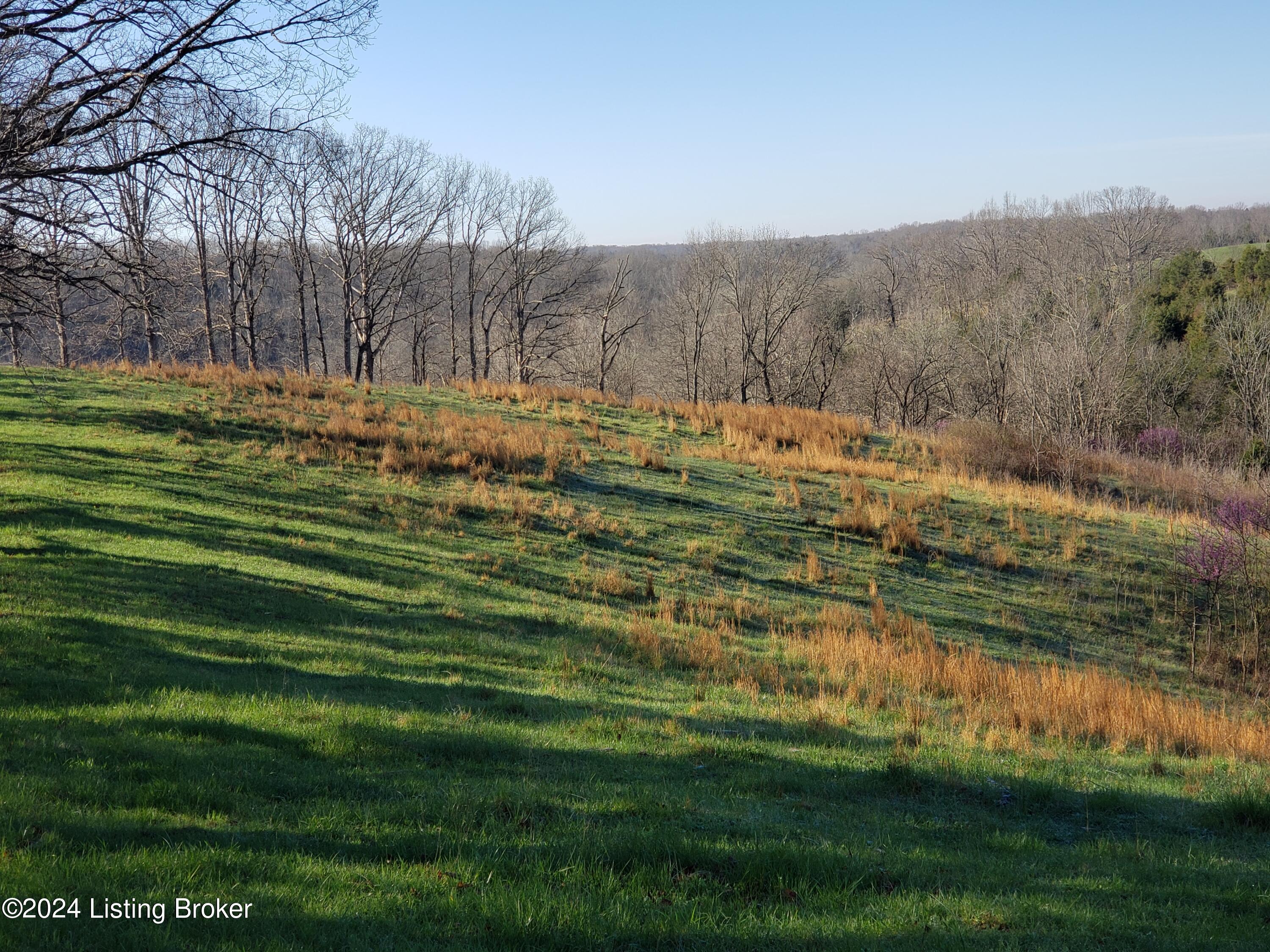 1275 Pleasant Grove Ridge Road Mount Eden, KY 40046 - Photo 2 of 8 20240406_091942