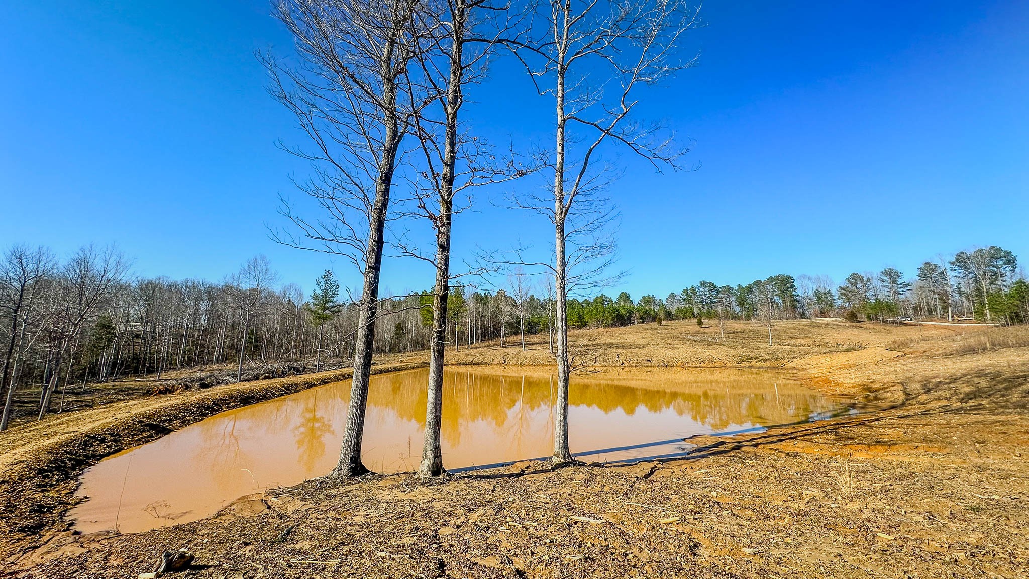 a view of swimming pool
