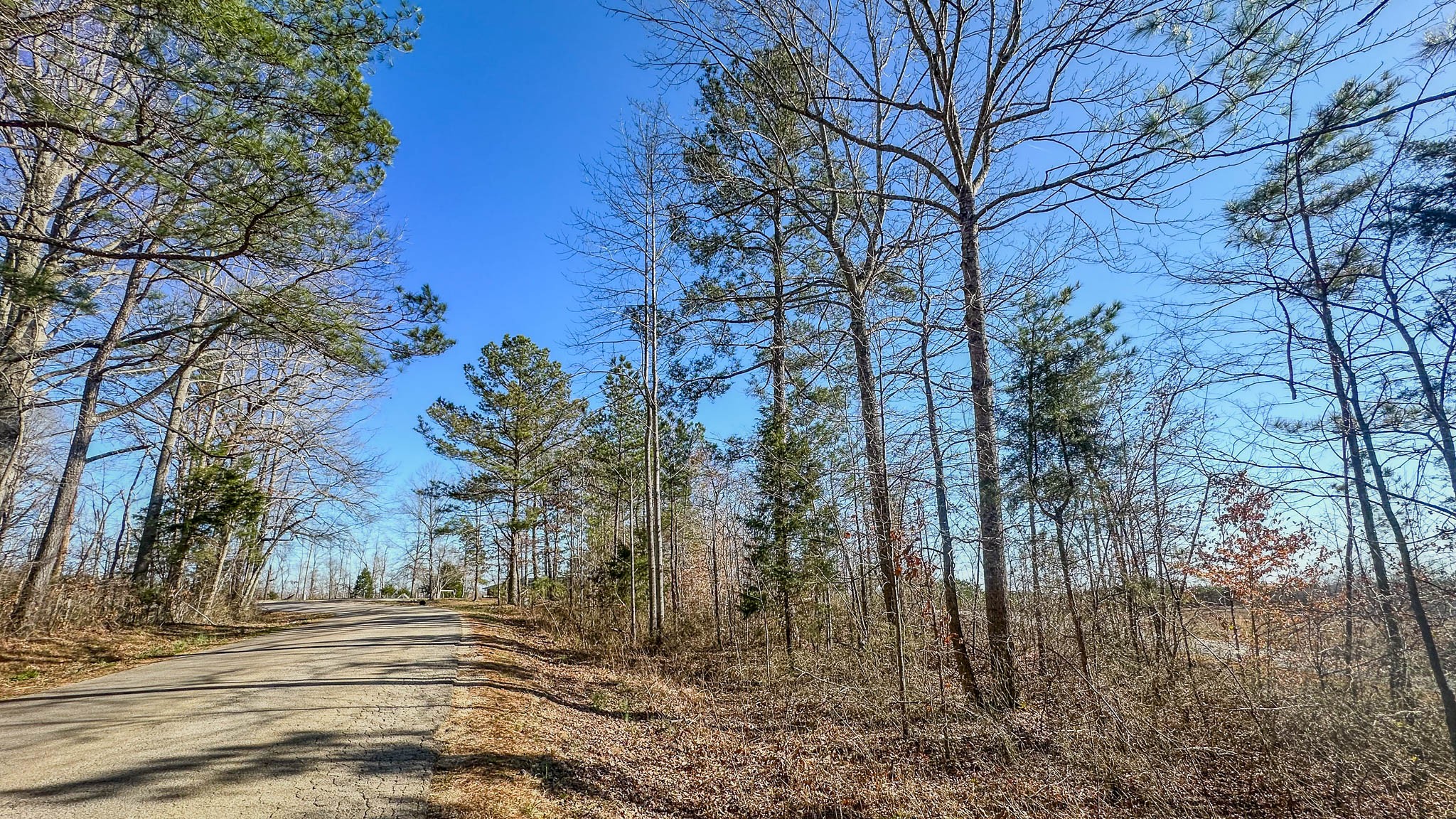 0 Jeanette Holladay Road Parsons, TN 38363 - Photo 20 of 23 a view of a backyard of the house
