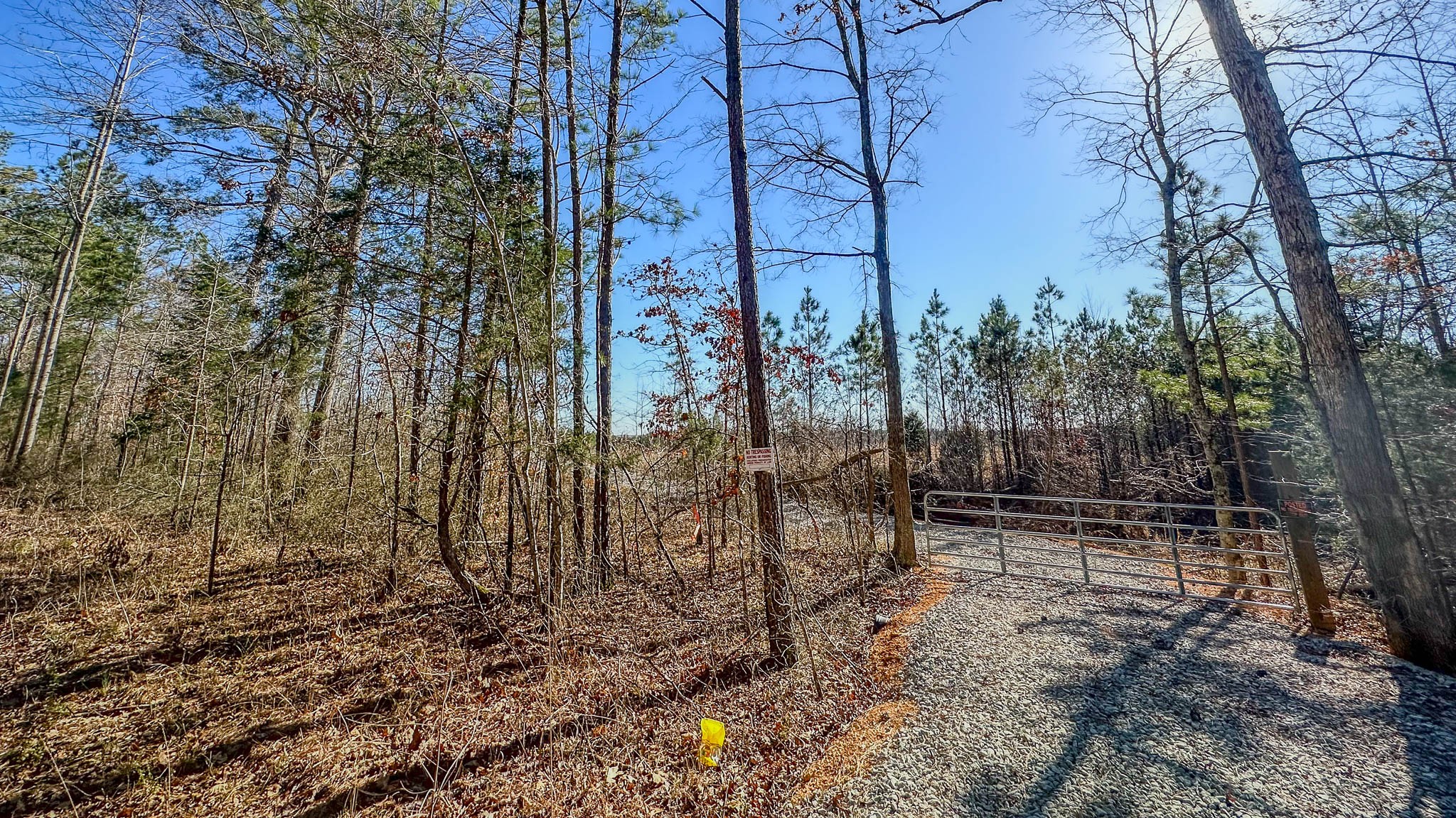 0 Jeanette Holladay Road Parsons, TN 38363 - Photo 21 of 23 a backyard of a house with lots of green space