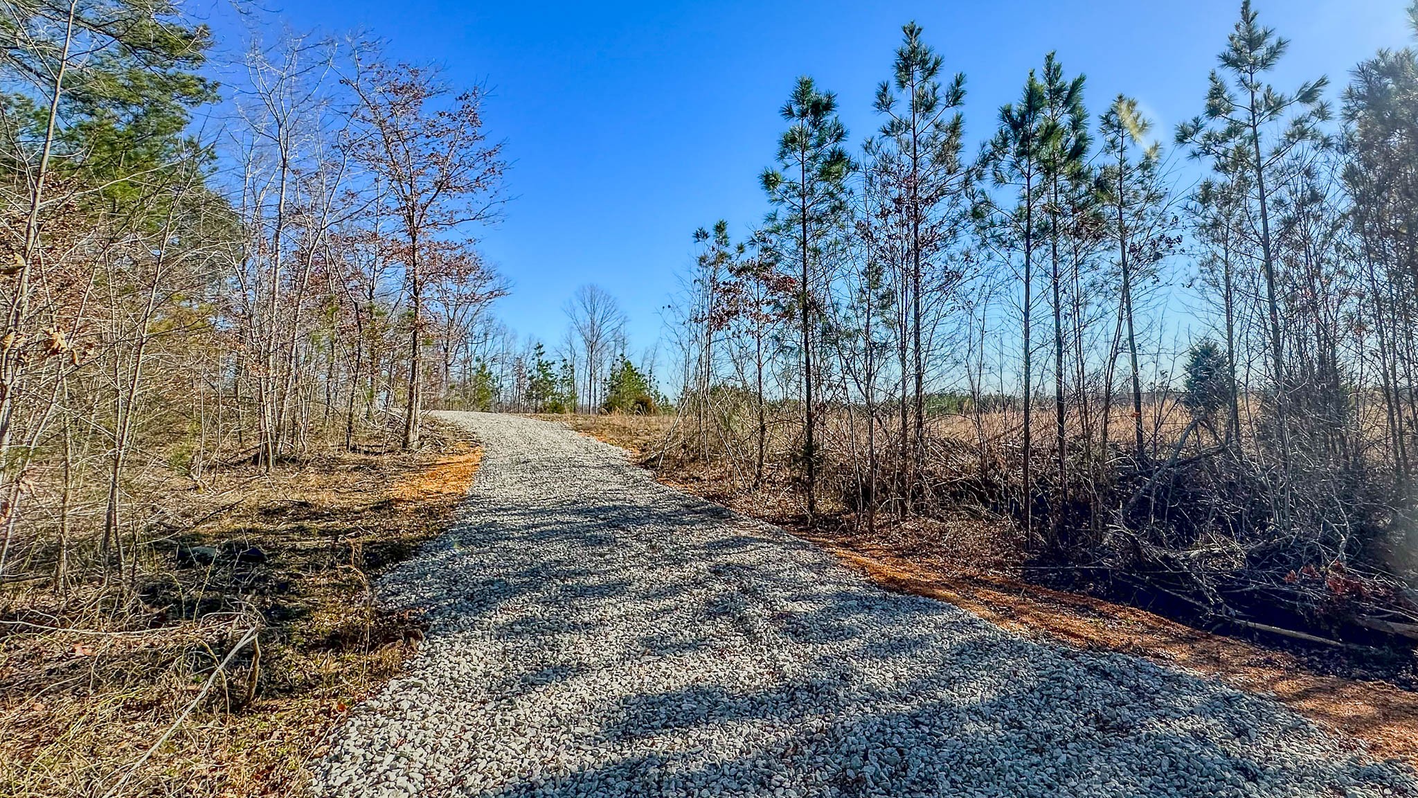 0 Jeanette Holladay Road Parsons, TN 38363 - Photo 22 of 23 a view of a yard with a tree