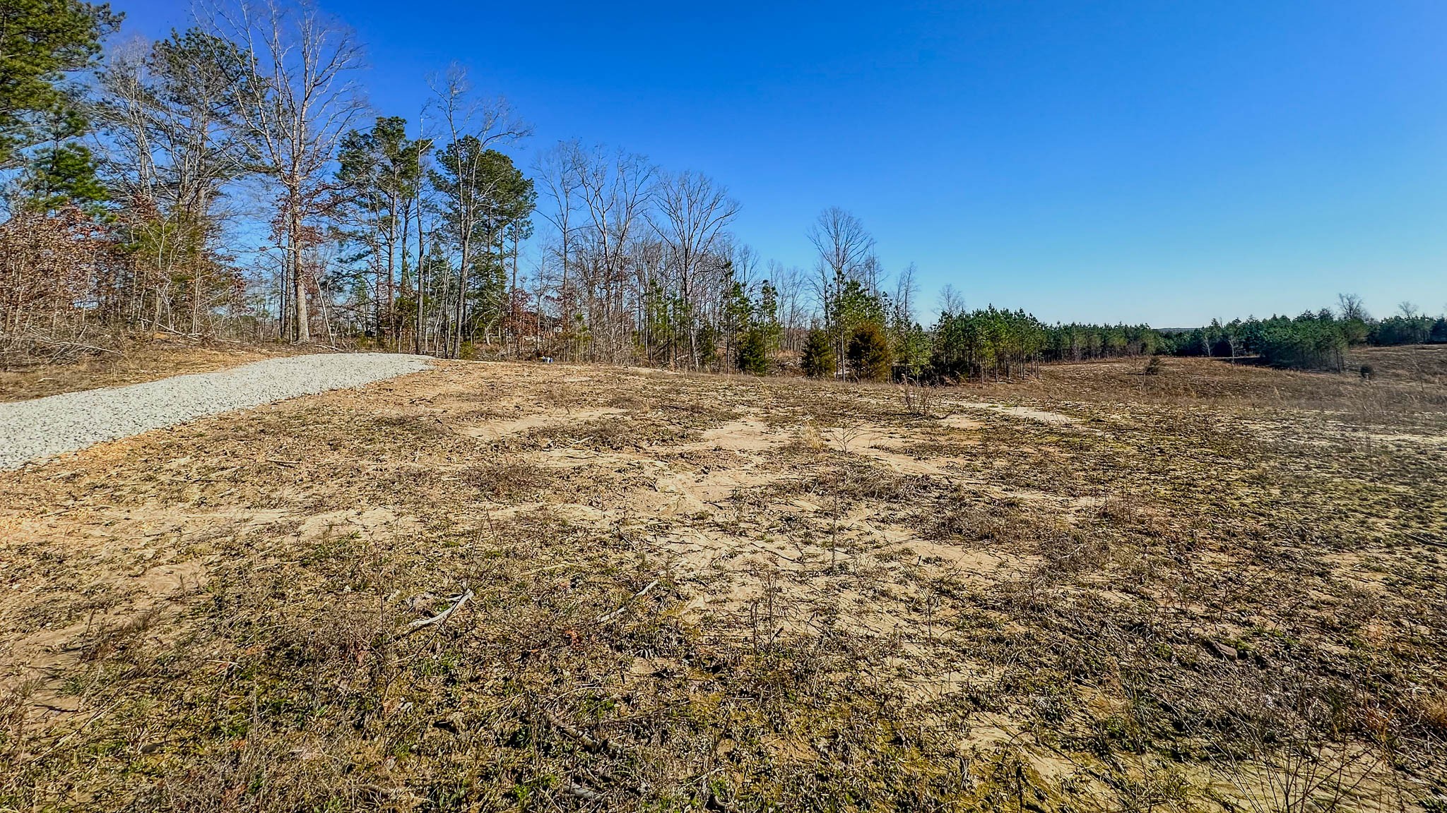 0 Jeanette Holladay Road Parsons, TN 38363 - Photo 23 of 23 a view of open space with trees all around