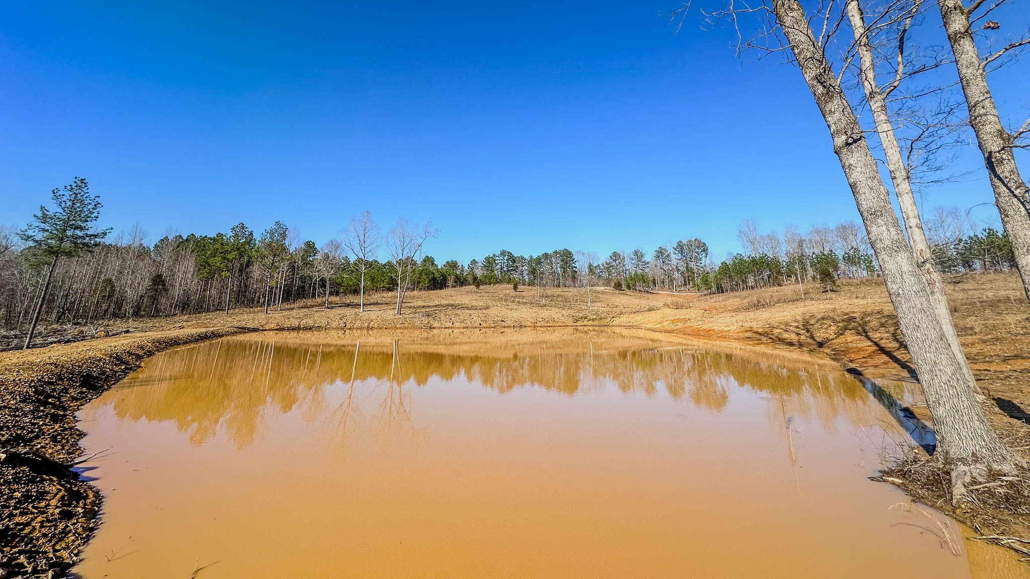 0 Jeanette Holladay Road Parsons, TN 38363 - Photo 4 of 23 a view of swimming pool with a yard