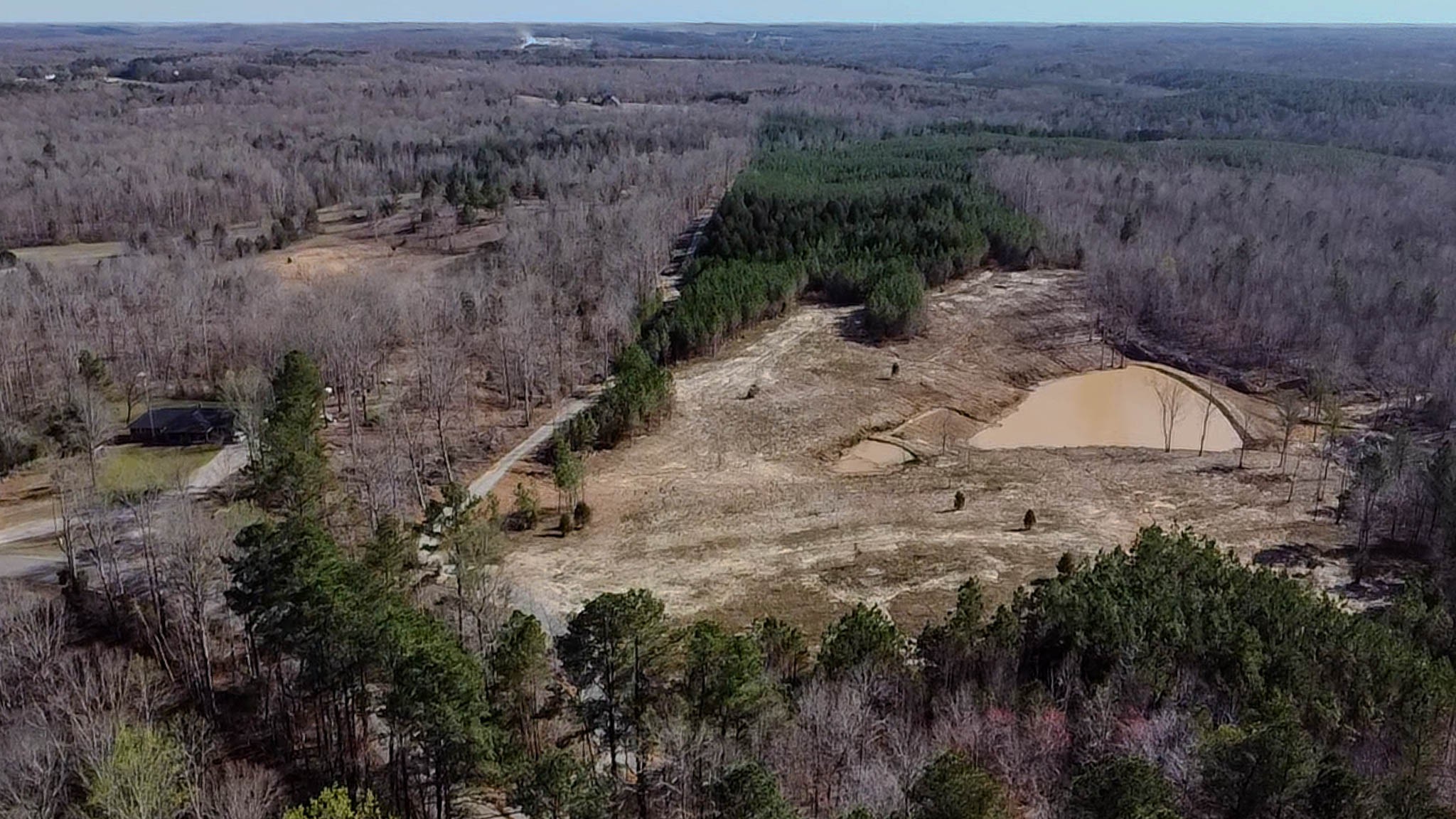 0 Jeanette Holladay Road Parsons, TN 38363 - Photo 7 of 23 a view of a dry yard with trees