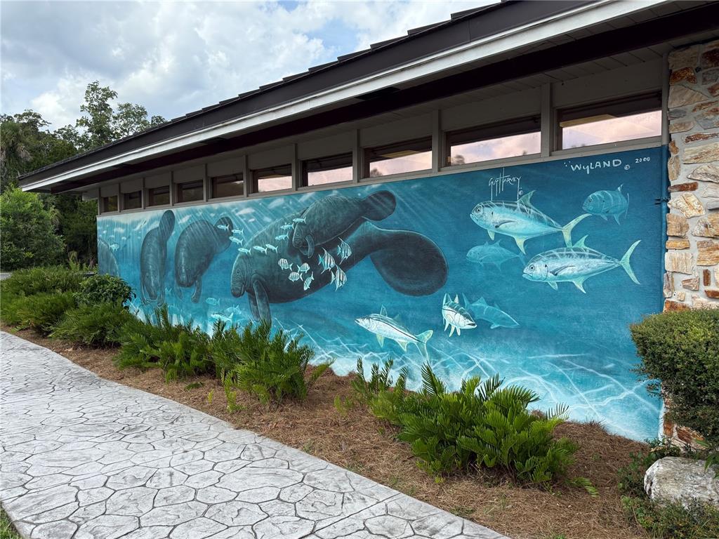 326 West Homeway Loop Citrus Springs, FL 34434 - Photo 18 of 31