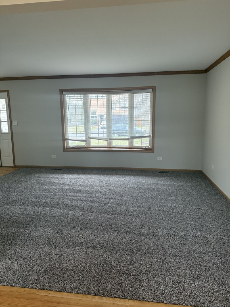 635 Wild Indigo Avenue Romeoville, IL 60446 - Photo 3 of 16
