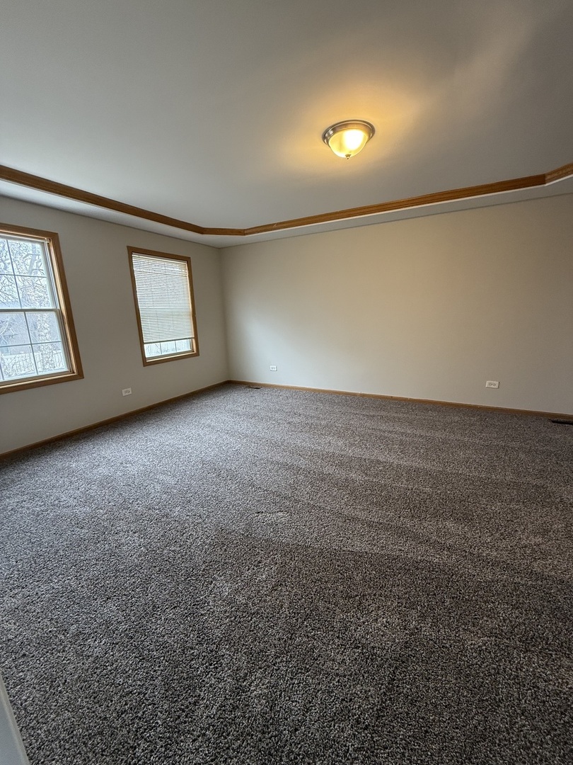 635 Wild Indigo Avenue Romeoville, IL 60446 - Photo 5 of 16