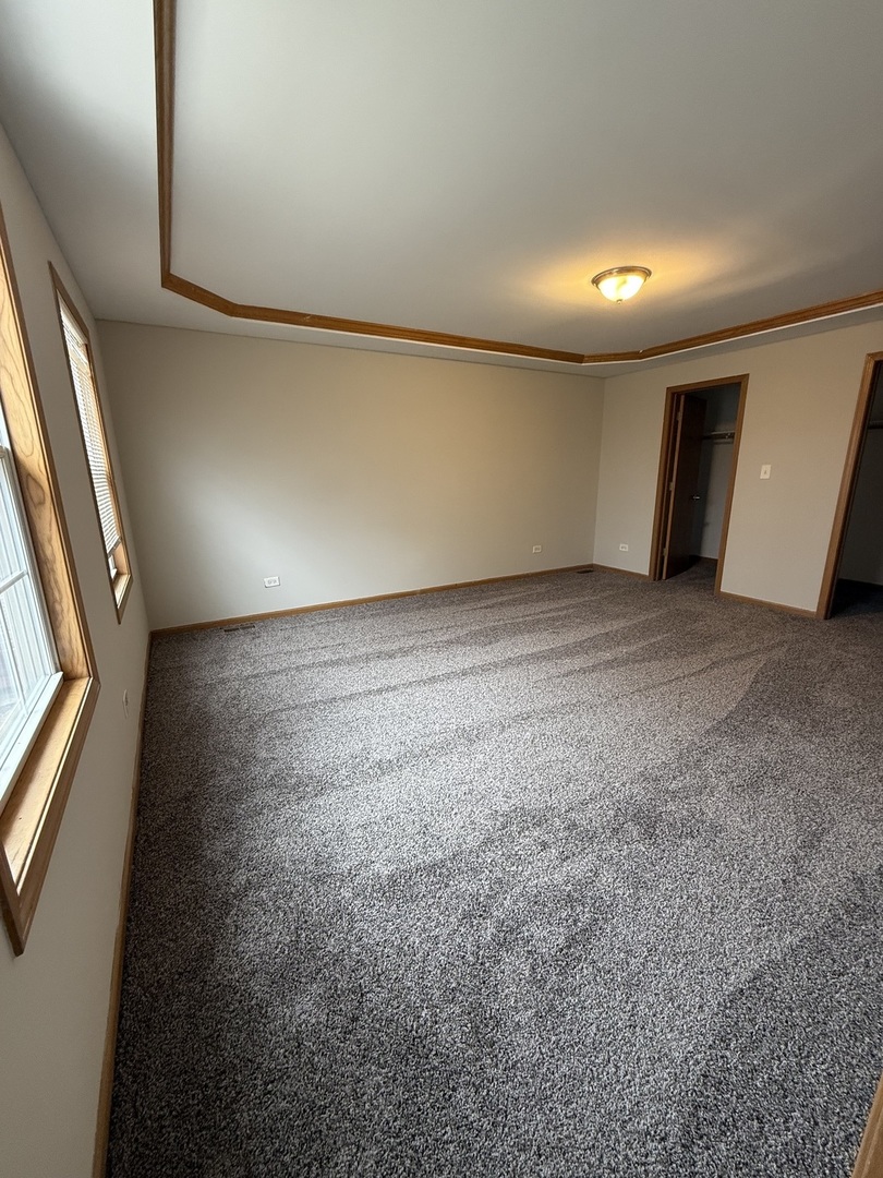 635 Wild Indigo Avenue Romeoville, IL 60446 - Photo 6 of 16