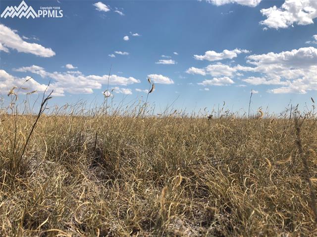 Jacobson Road Rush, CO 80833 - Photo 18 of 18 Gallery Image 18