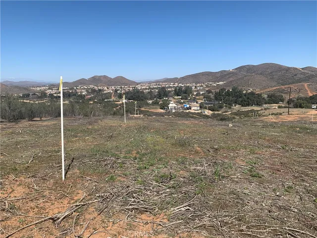 a view of a dry yard