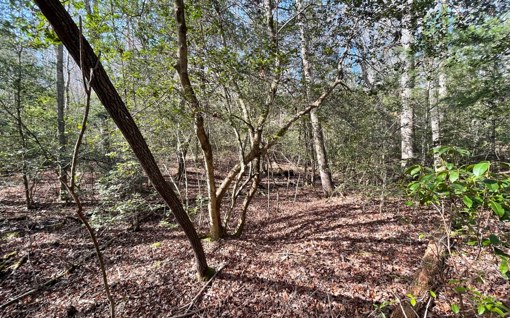 5.9-ac Voylestown Road Morganton, GA 30560 - Photo 6 of 22 Additional View