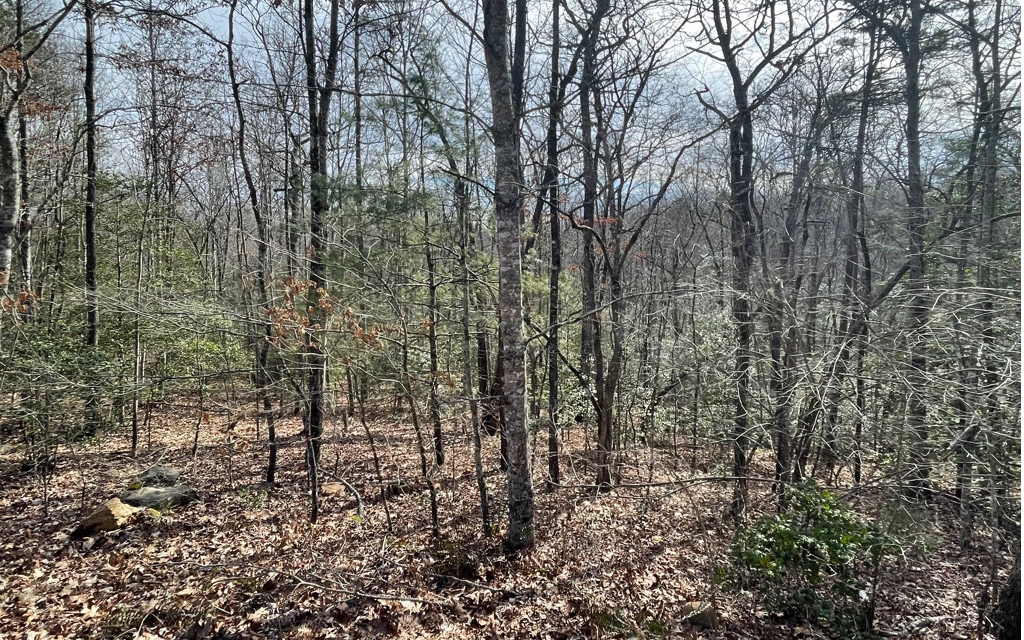5.9-ac Voylestown Road Morganton, GA 30560 - Photo 7 of 22 Additional View