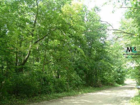 0 South Force Road, Unit A Attica, MI 48412 - Photo 3 of 3 885108-2.JPG