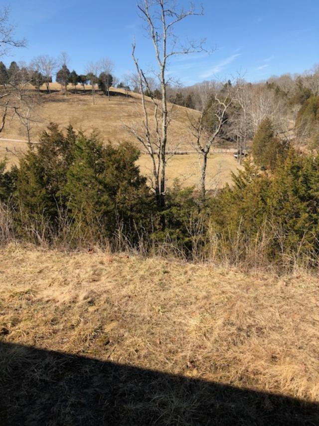 2163 Old Log Lick Road Winchester, KY 40391 - Photo 41 of 55 Photo 42