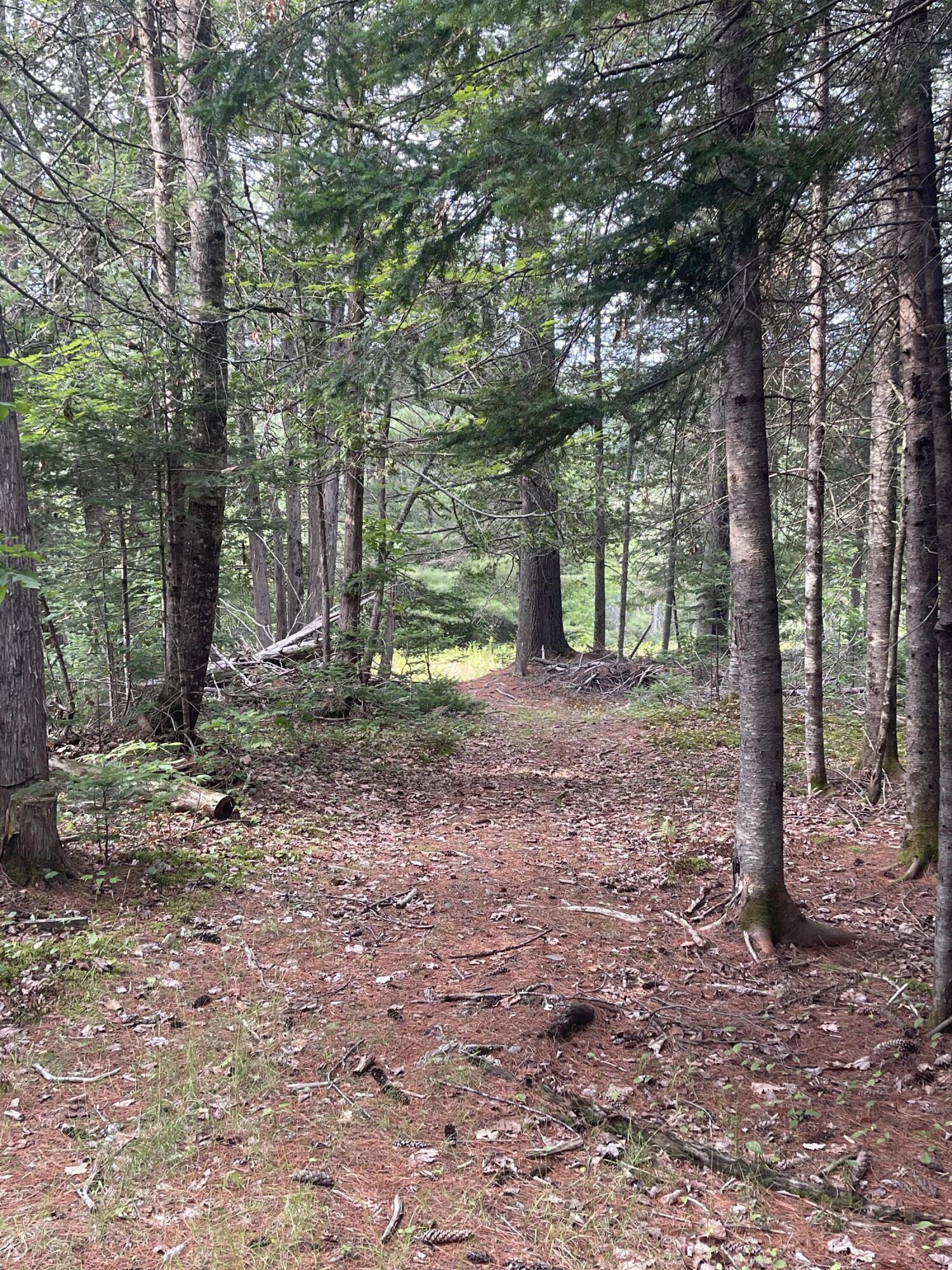 552 Milo Road Dover-Foxcroft, ME 04426 - Photo 12 of 38 6A93A123-8C01-469A-B275-BCC560FAB17F