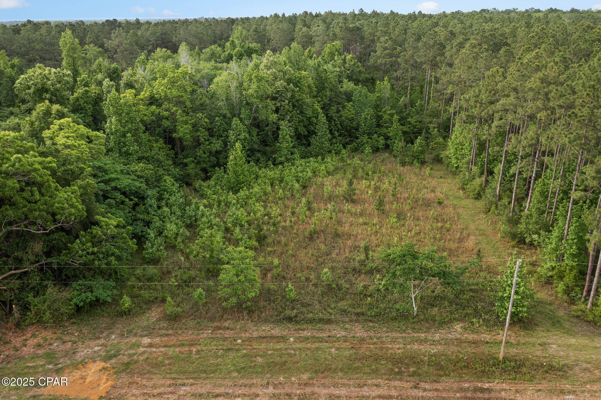 Xxx Clayton Road, Unit 5 ACRES Chipley, FL 32428 - Photo 9 of 18