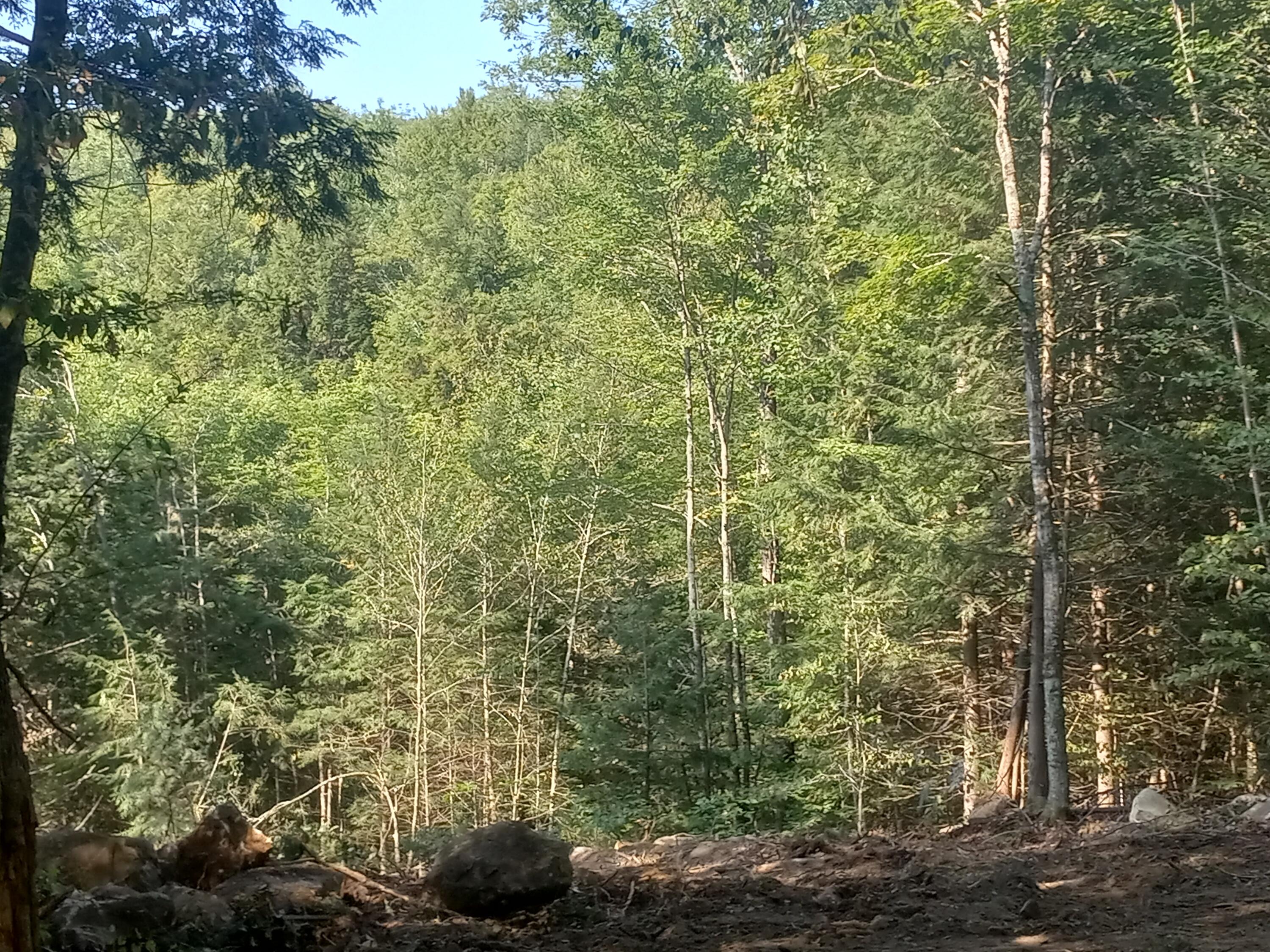 196 Kimball Pond Road New Sharon, ME 04955 - Photo 3 of 4 williamskimballDX