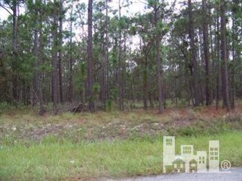 496 Prospect Road Southport, NC 28461 - Photo 1 of 1 Primary Photo