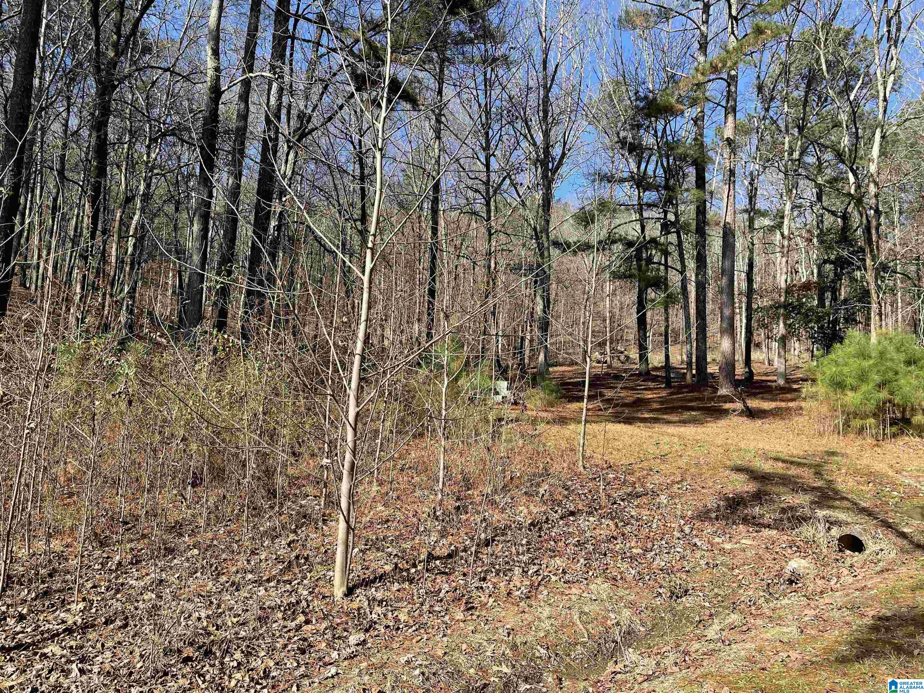 856 Whorton Bend Road, Unit 128 84 130 Rainbow City, AL 35906 - Photo 31 of 38