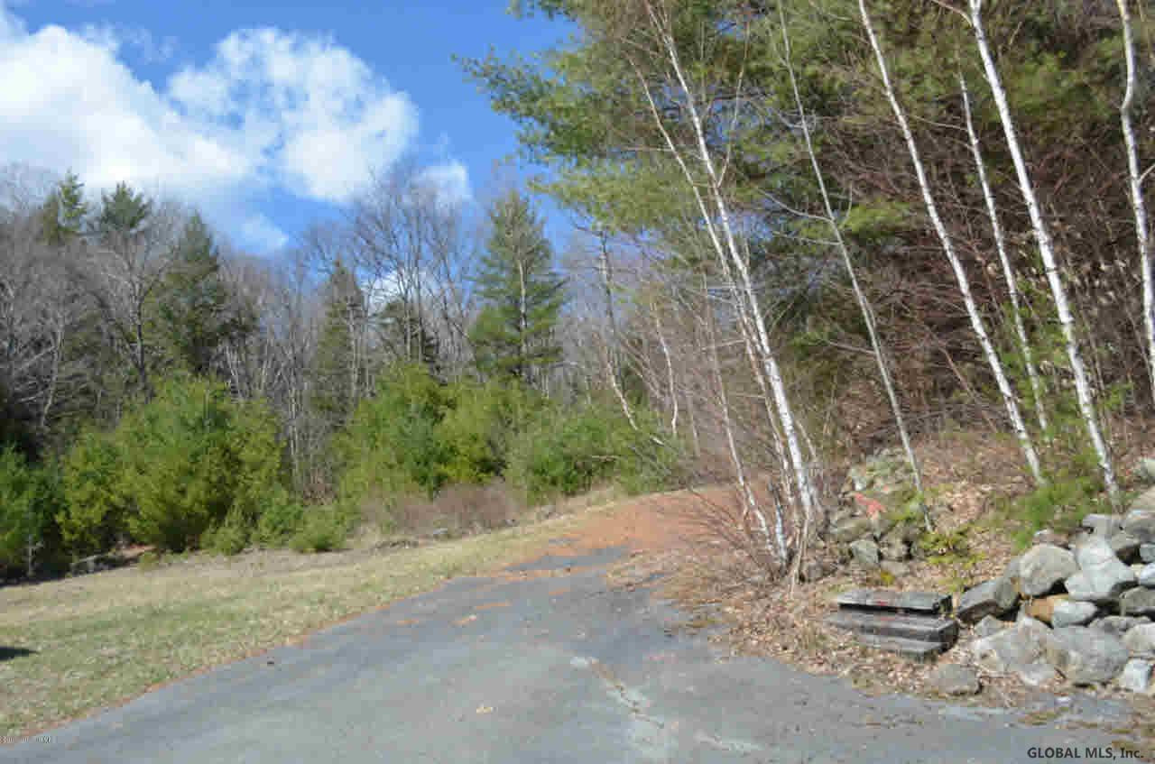 550 Pike Brook Road Clemons, NY 12819 - Photo 18 of 19 Photo 18