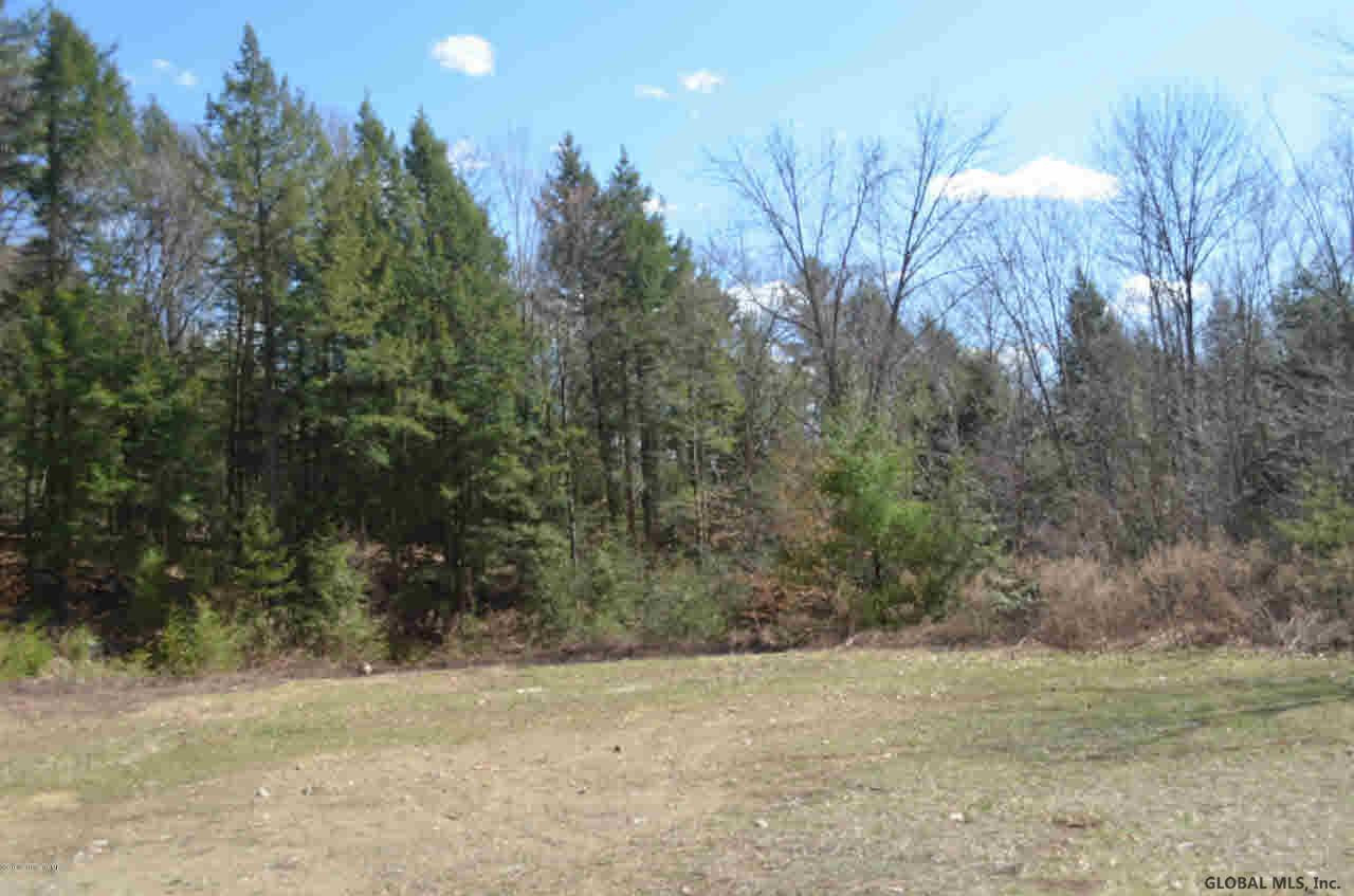 550 Pike Brook Road Clemons, NY 12819 - Photo 5 of 19 Photo 5