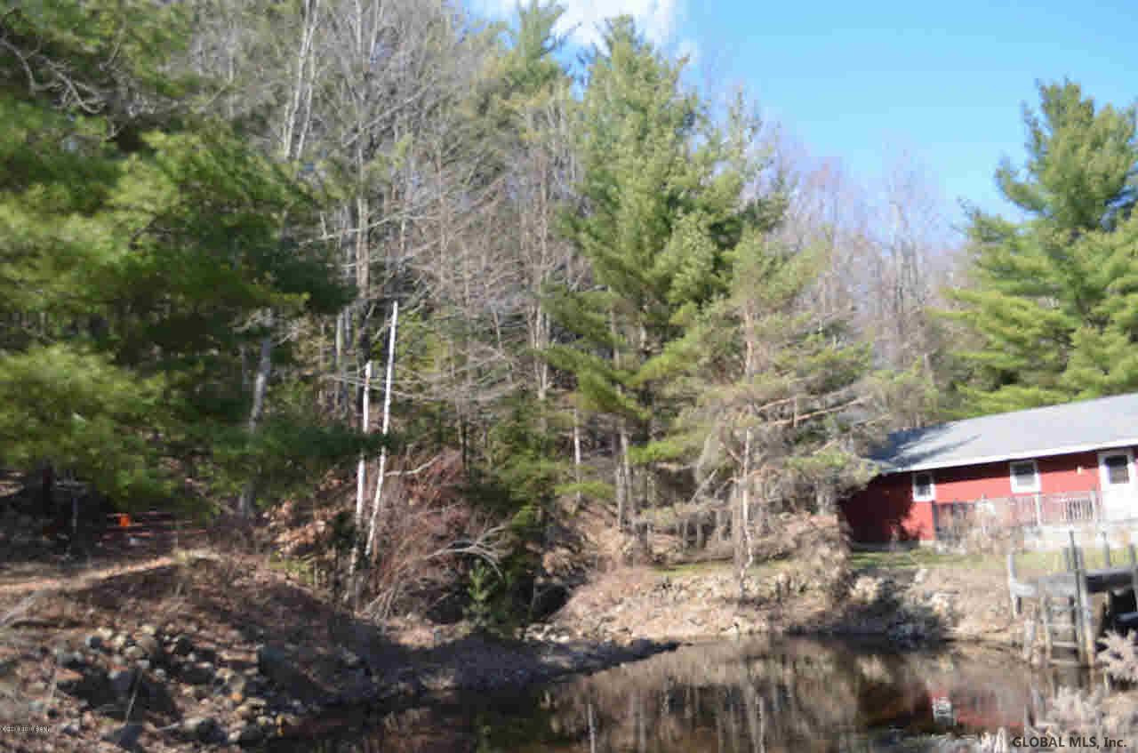 550 Pike Brook Road Clemons, NY 12819 - Photo 7 of 19 Photo 7