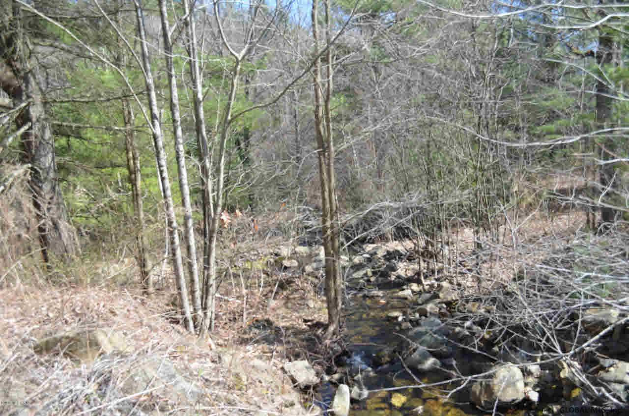 550 Pike Brook Road Clemons, NY 12819 - Photo 8 of 19 Photo 8