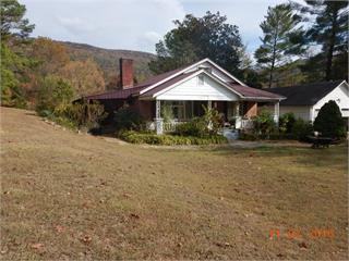 66 daisy lane