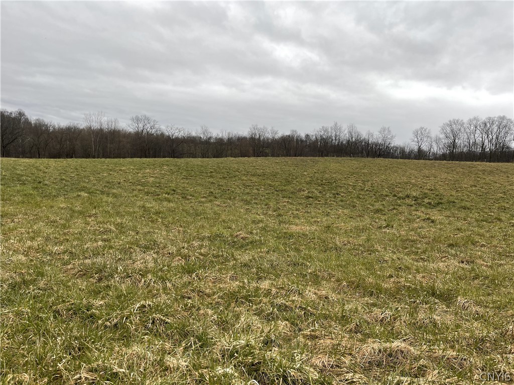0 Donovan Road Auburn, NY 13021 - Photo 1 of 1