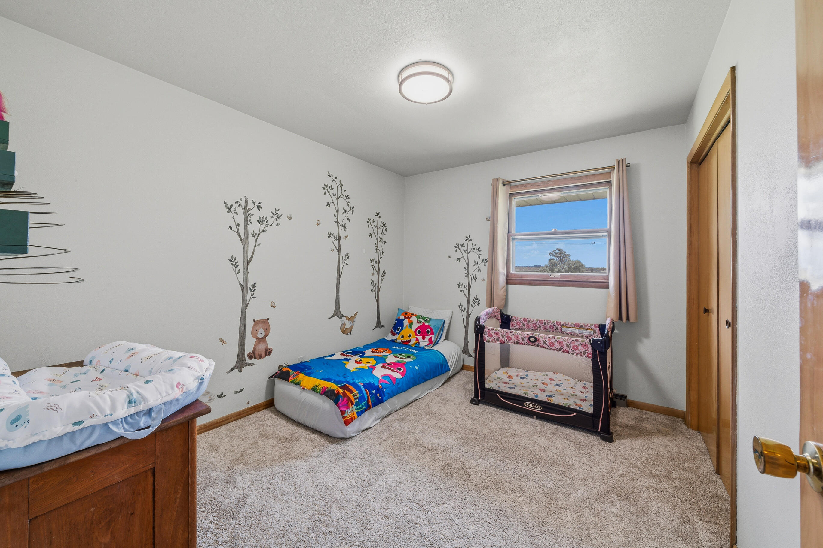 5281 Spring Valley Road Lyons, WI 53105 - Photo 60 of 82 5281 Spring Valley Rd-73