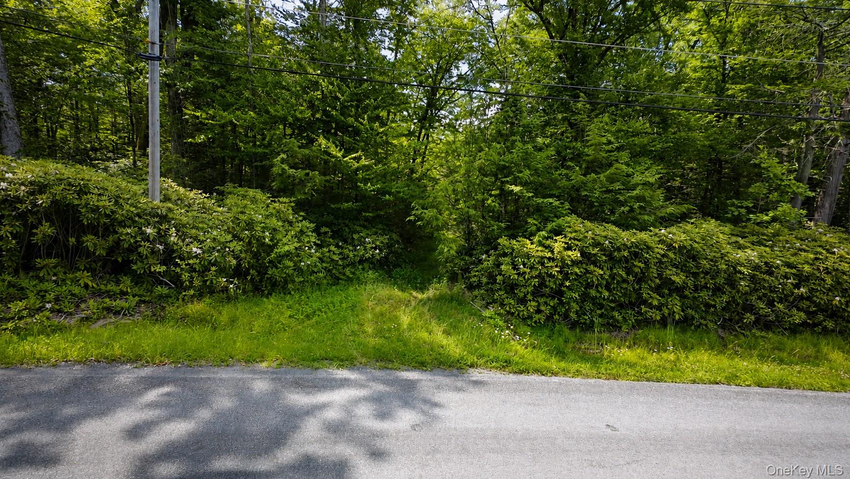 Taylor Road Mountain Dale, NY 12763 - Photo 3 of 15