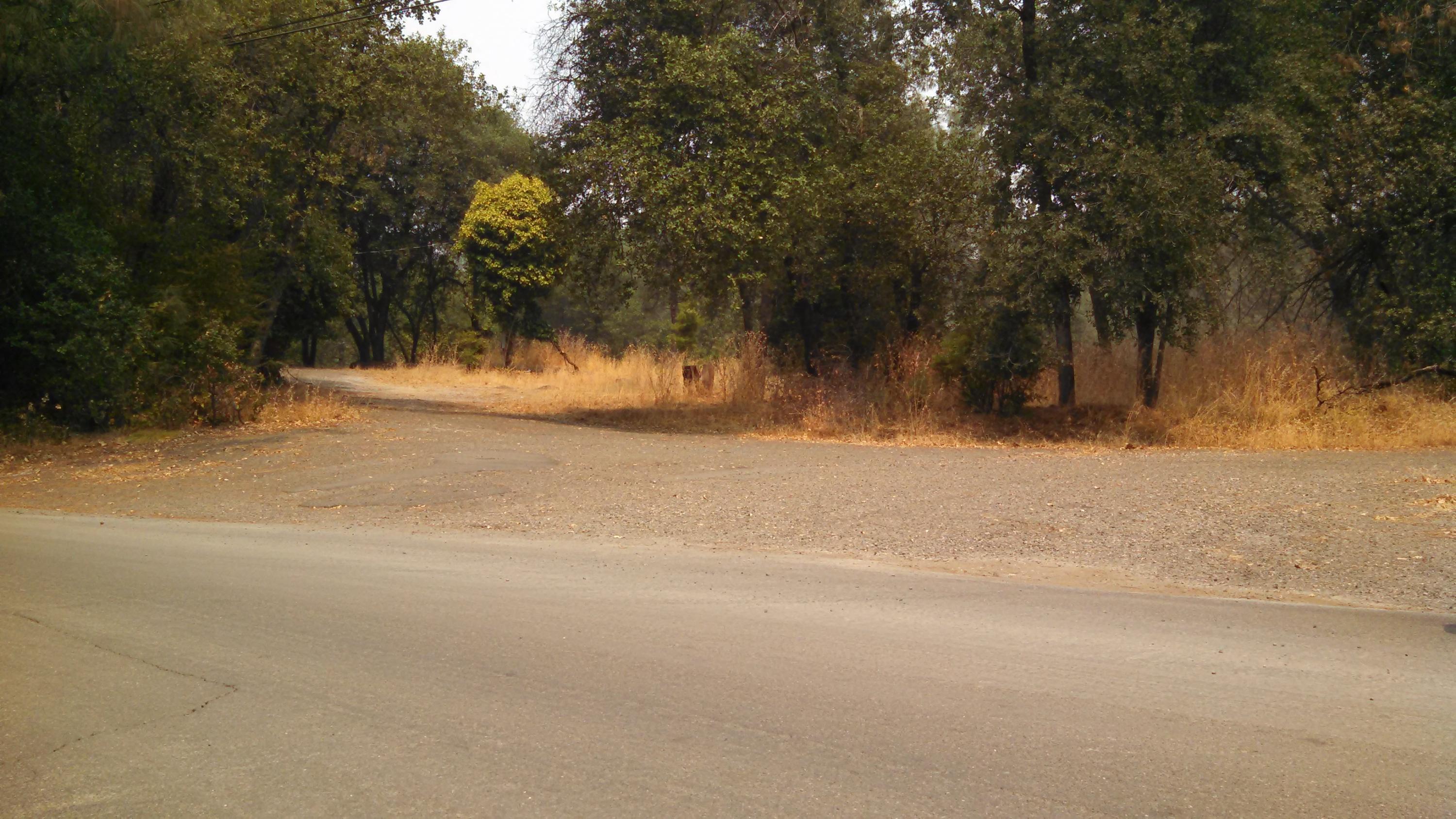 19866 Copper Canyon Road Redding, CA 96003 - Photo 1 of 5 Main road to driveway