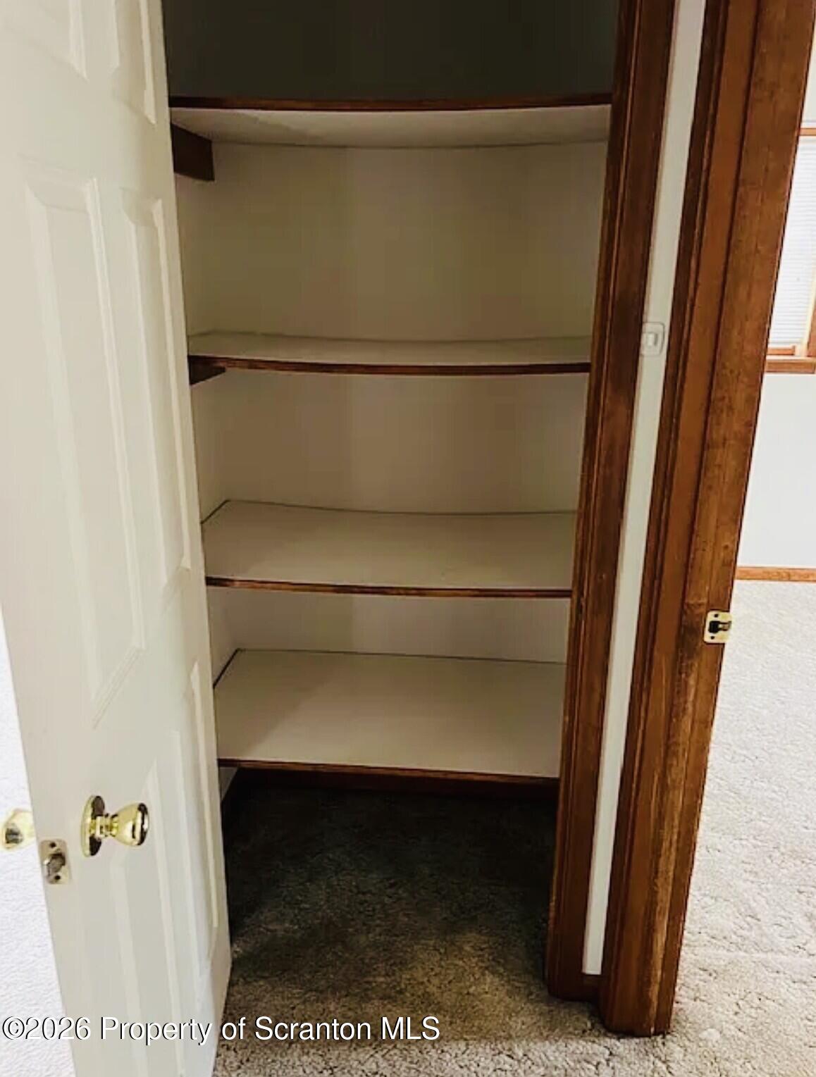 621 Shady Lane Road Clarks Summit, PA 18411 - Photo 13 of 16 621 closet