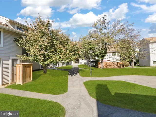 a view of a park with large trees