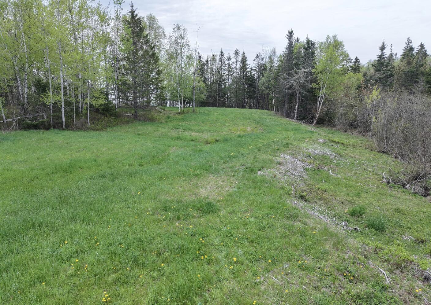 2 3 4 Birch Point Road Perry, ME 04667 - Photo 18 of 34 Birch Point Subdivision grassy lane