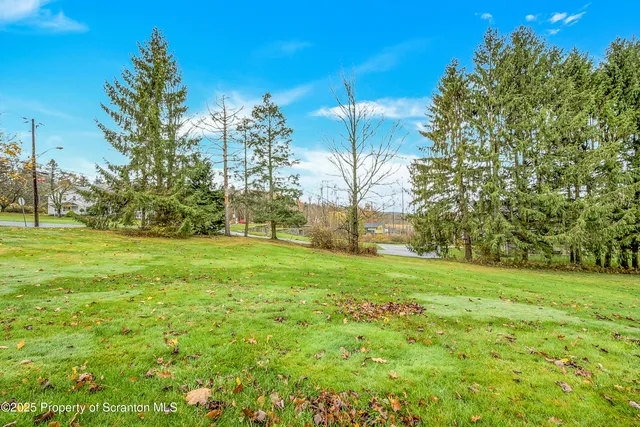 a view of a field with a tree