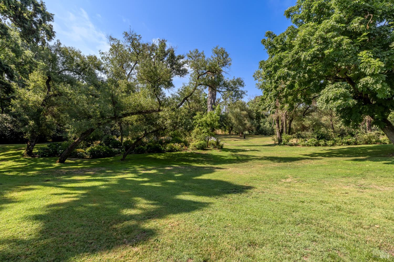 989 Rutherford Road Napa, CA 94558 - Photo 14 of 90