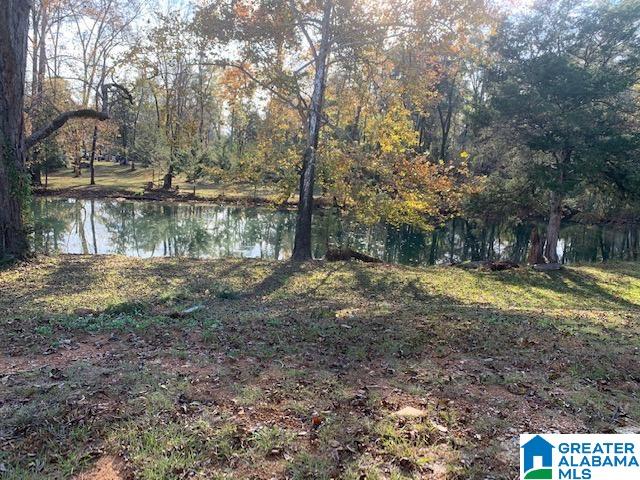 Shelby Street Montevallo, AL 35115 - Photo 3 of 3