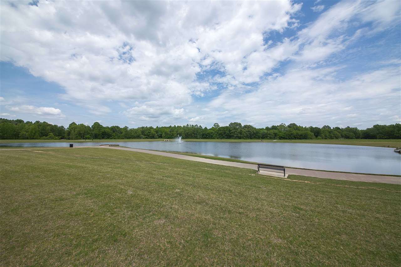 10361 Pilot Rock Road Collierville, TN 38017 - Photo 24 of 25 Gallery Image 24