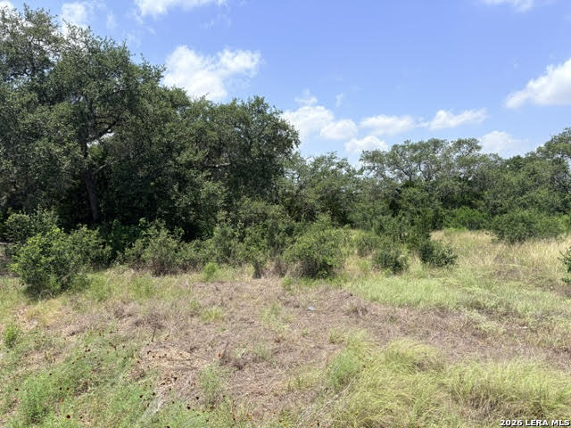 359 River Cliff Place Spring Branch, TX 78070 - Photo 14 of 14