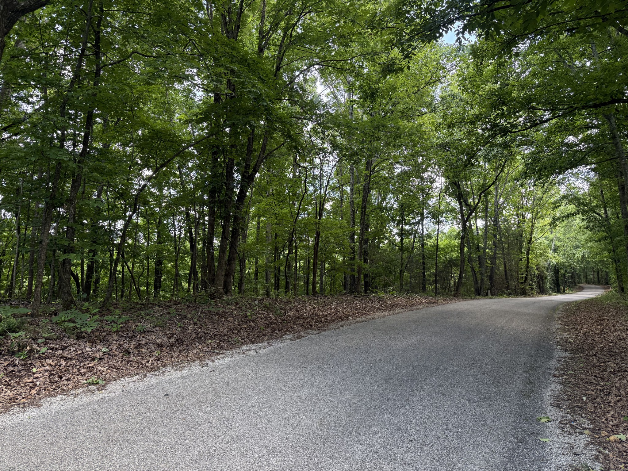0 Jack Holt Road Prospect, TN 38477 - Photo 2 of 9