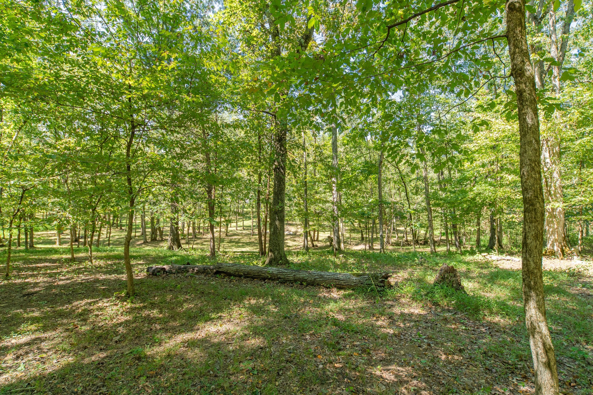 5085 Flat Creek Road Spring Hill, TN 37174 - Photo 24 of 60 Gallery Image 24