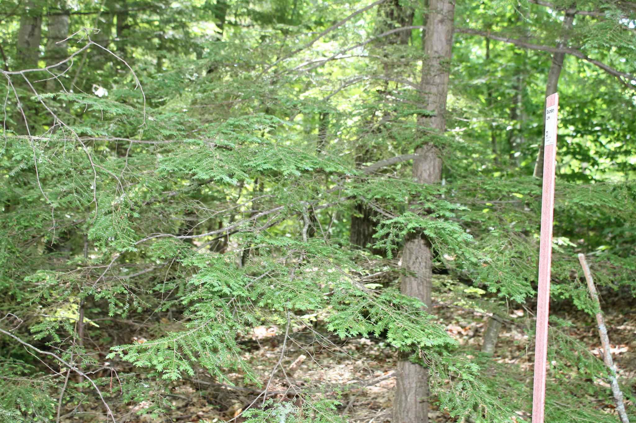 Berry Road Loudon, NH 03307 - Photo 8 of 14