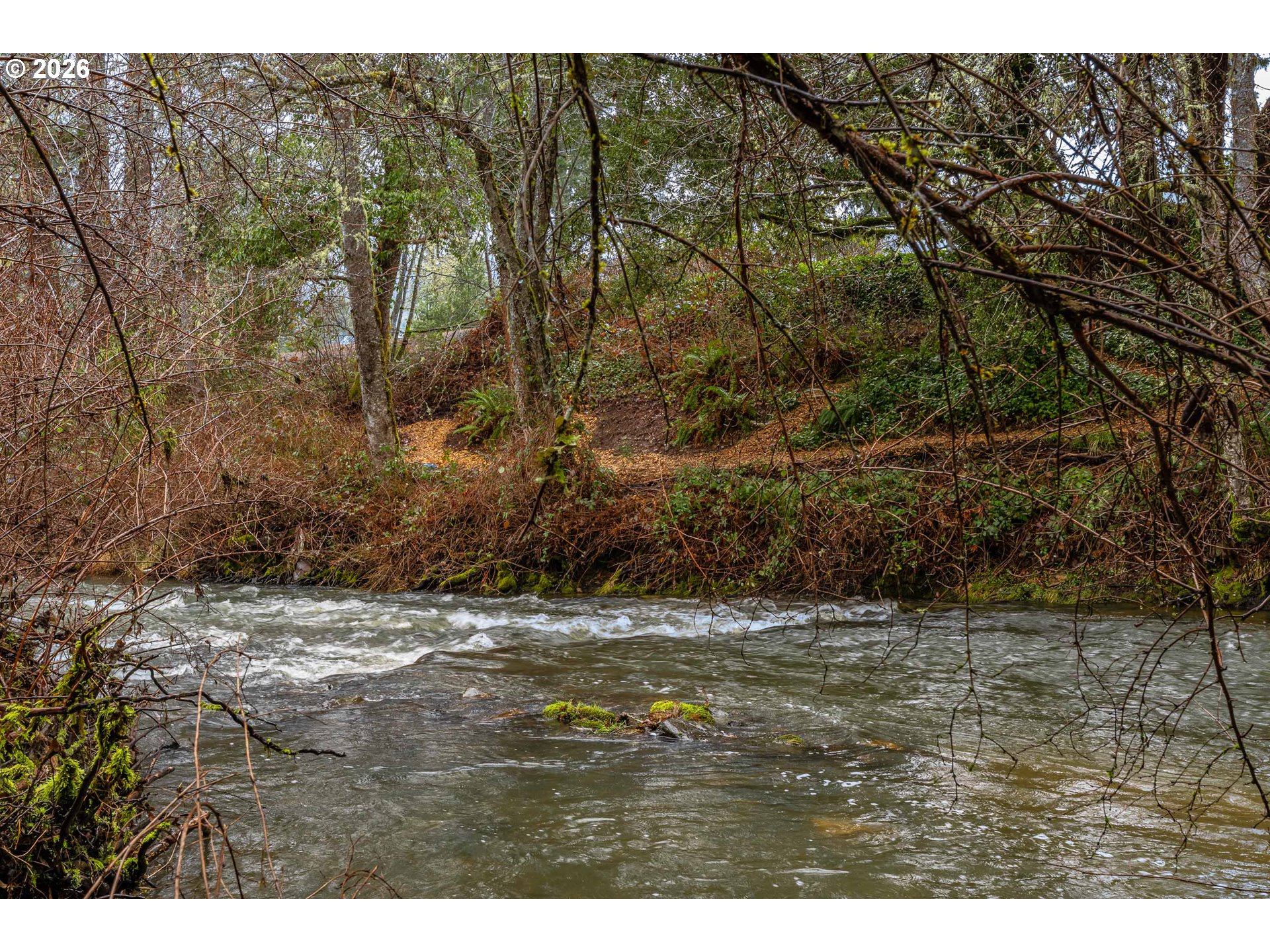 Creek Road Azalea, OR 97410 - Photo 11 of 29