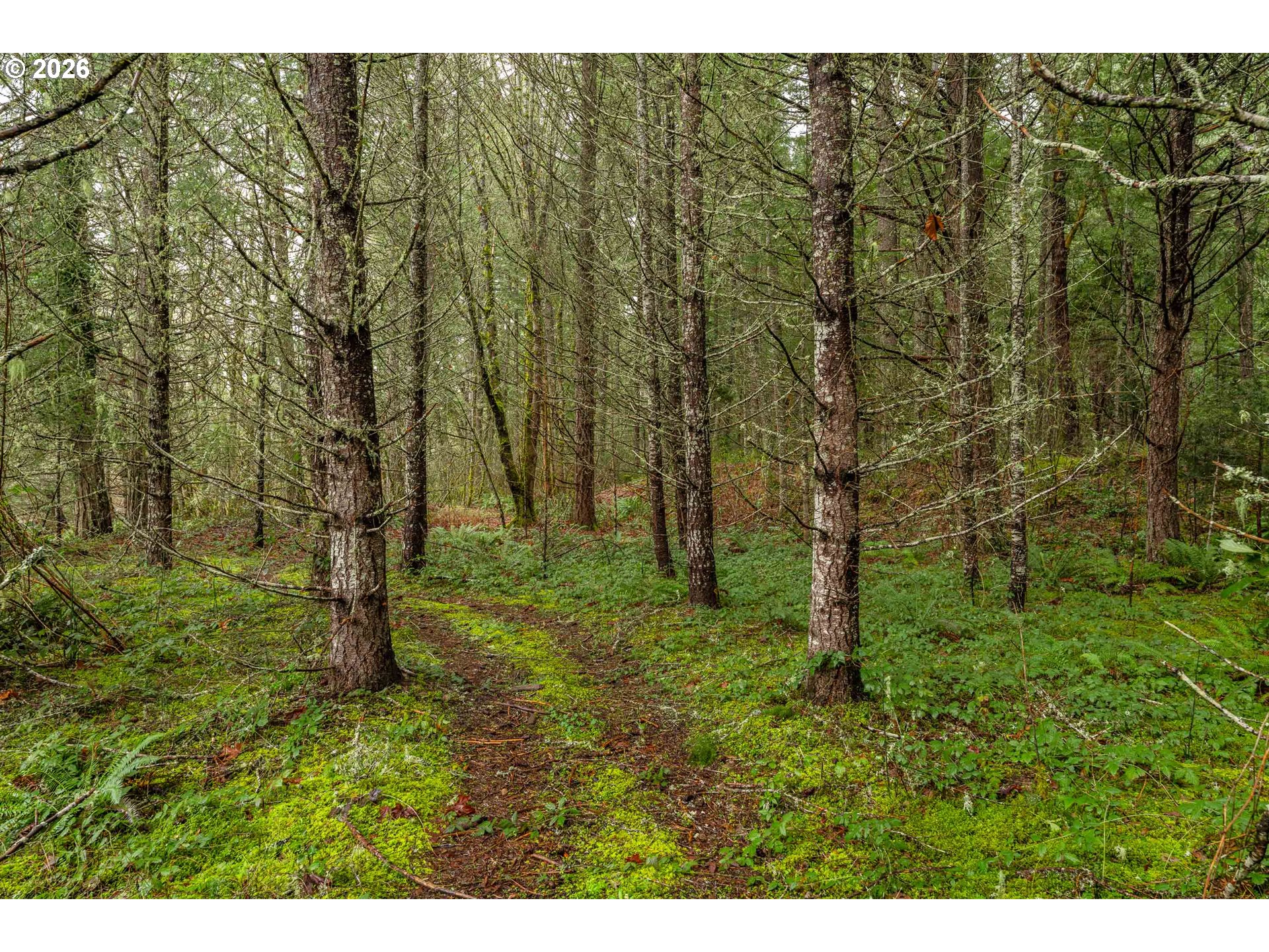 Creek Road Azalea, OR 97410 - Photo 12 of 29