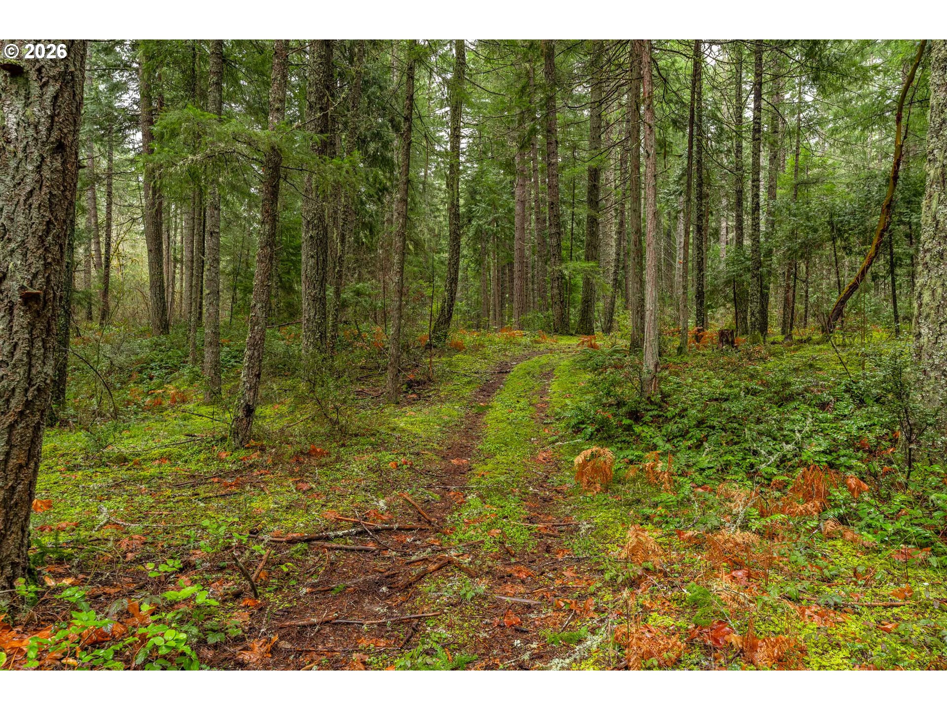 Creek Road Azalea, OR 97410 - Photo 13 of 29